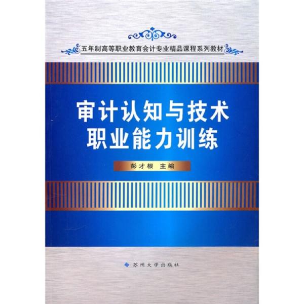 审计认知与技术职业能力训练