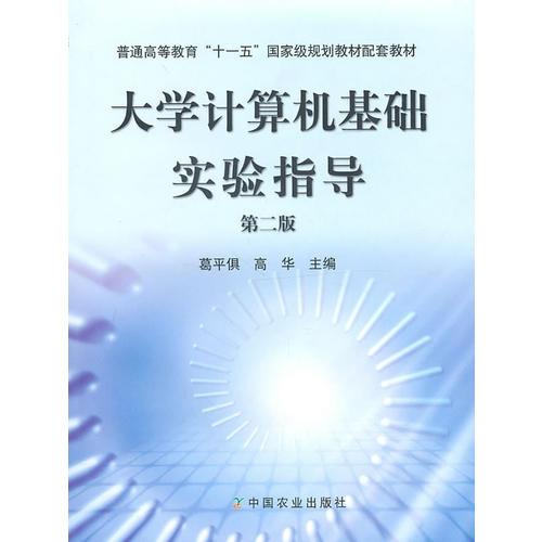 大學(xué)計(jì)算機(jī)基礎(chǔ)實(shí)驗(yàn)指導(dǎo)（第二版）