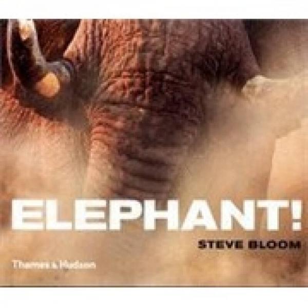 Elephant!