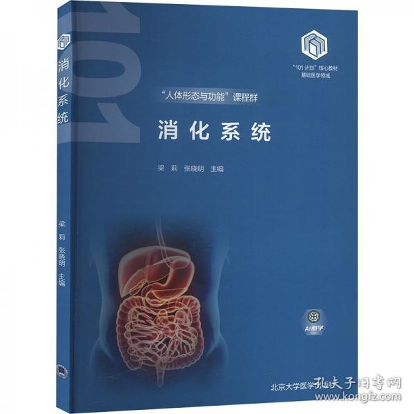 消化系统