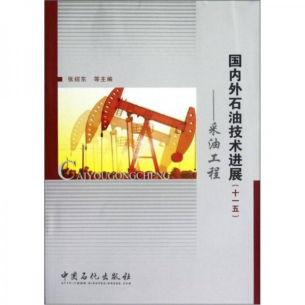 国内外石油技术进展：油工程