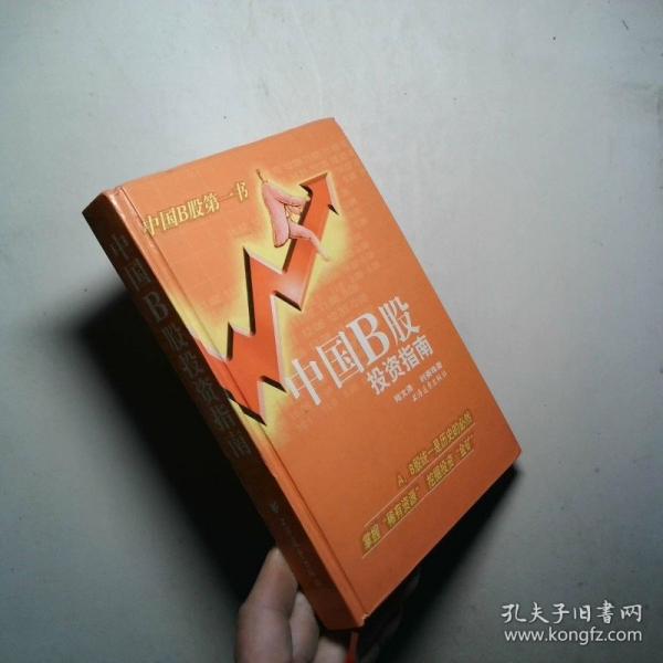 中國B股投資指南