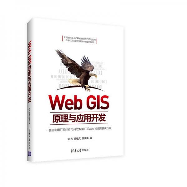 Web GIS原理与应用开发