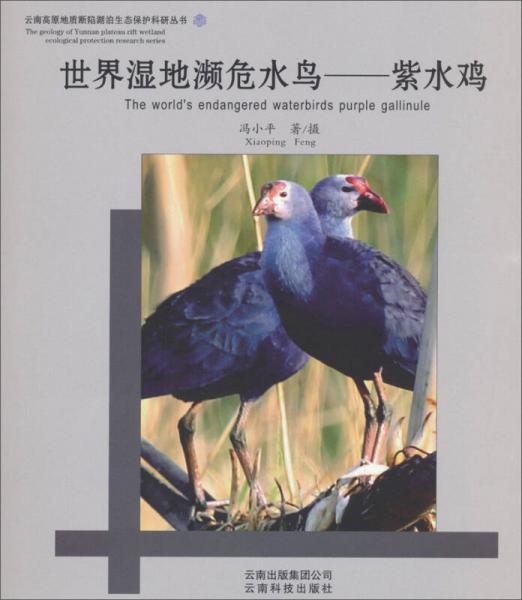 云南高原地質(zhì)斷陷湖泊生態(tài)保護(hù)科研叢書(shū)·世界濕地瀕危水鳥(niǎo)：紫水鳥(niǎo)