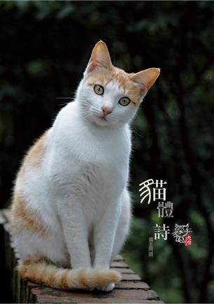 九份?貓?bào)w詩