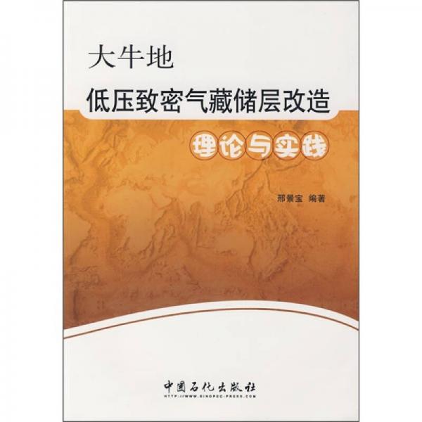 大牛地低壓致密氣藏儲層改造理論與實踐