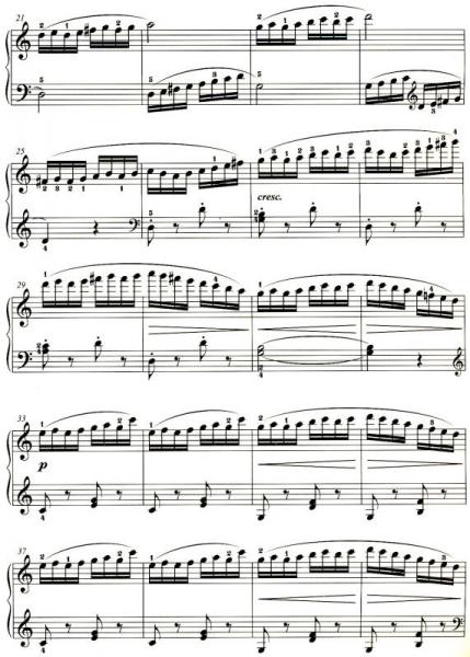 杜弗诺伊钢琴练习曲：作品120