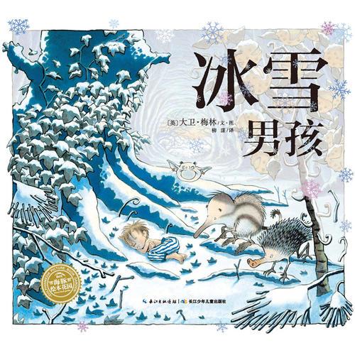 海豚绘本花园：冰雪男孩（平装）
