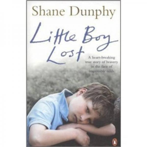 Little Boy Lost