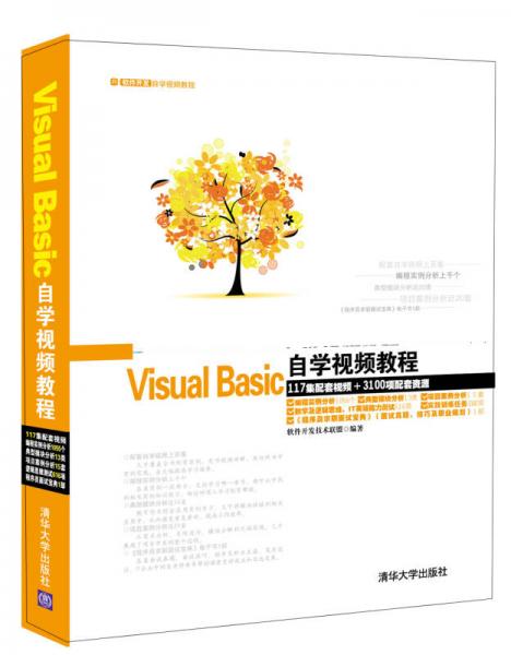 Visual Basic自学视频教程
