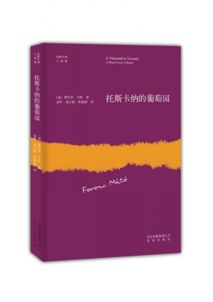 托斯卡納的葡萄園