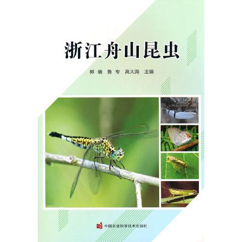 浙江舟山昆蟲