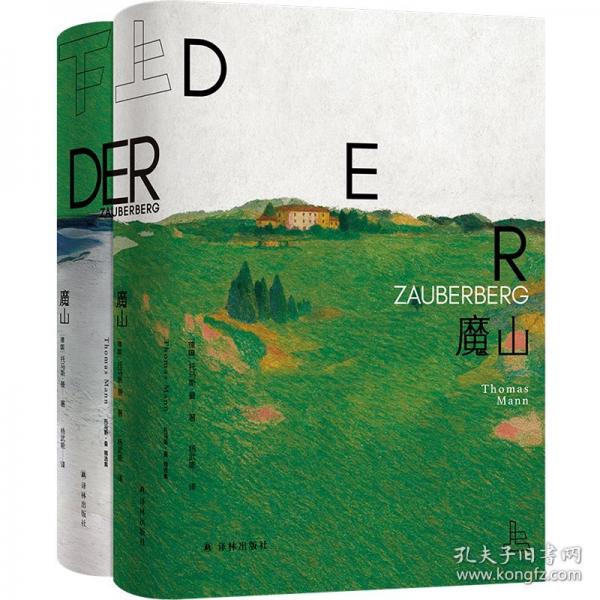 托马斯·曼精选集：魔山