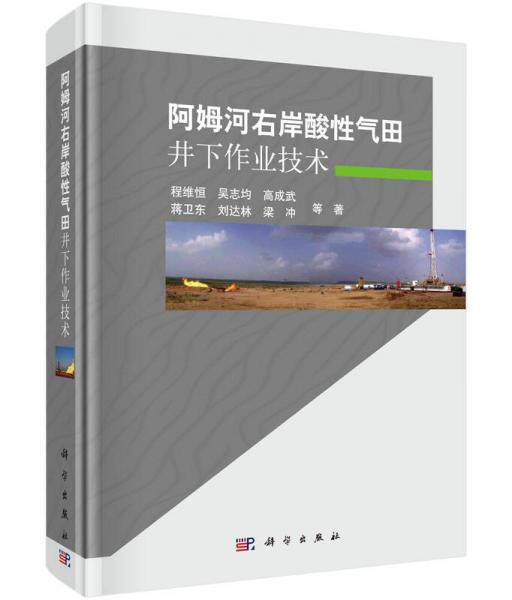 阿姆河右岸酸性气田井下作业技术