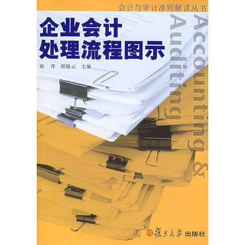 企業(yè)會計處理流程圖示（會計與審計準(zhǔn)則解讀叢書）