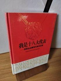 我是十八大代表 : 民营企业家党代表风采录