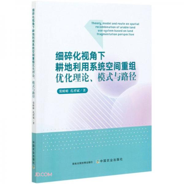 细碎化视角下耕地利用系统空间重组优化理论模式与路径