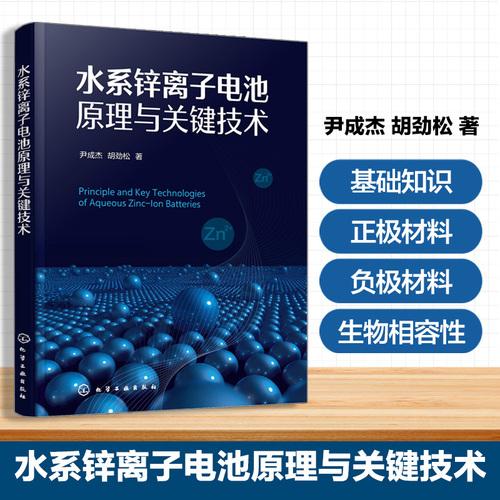 水系锌离子电池原理与关键技术