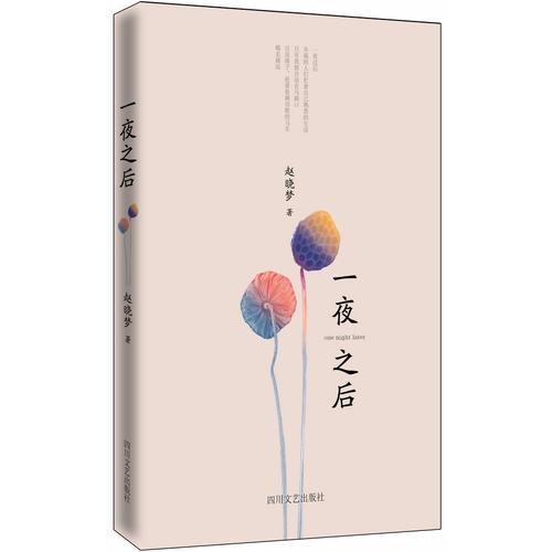一夜之后