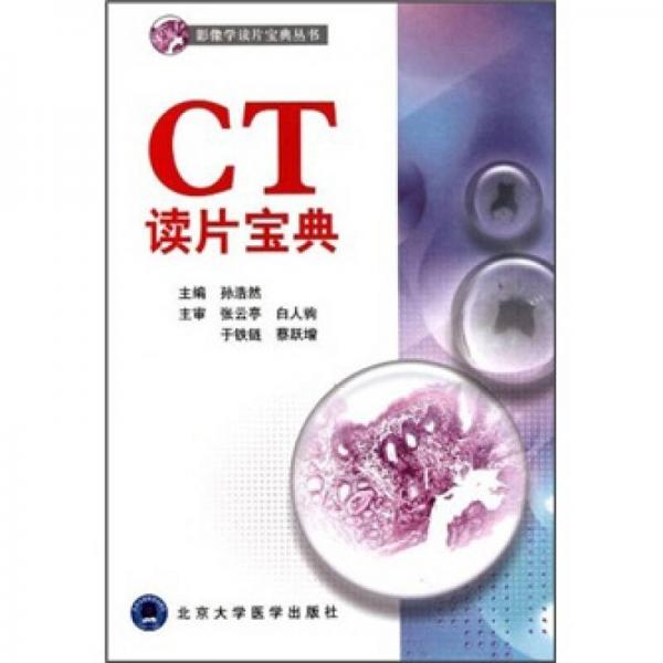 影像學(xué)讀片寶典叢書(shū)：CT讀片寶典