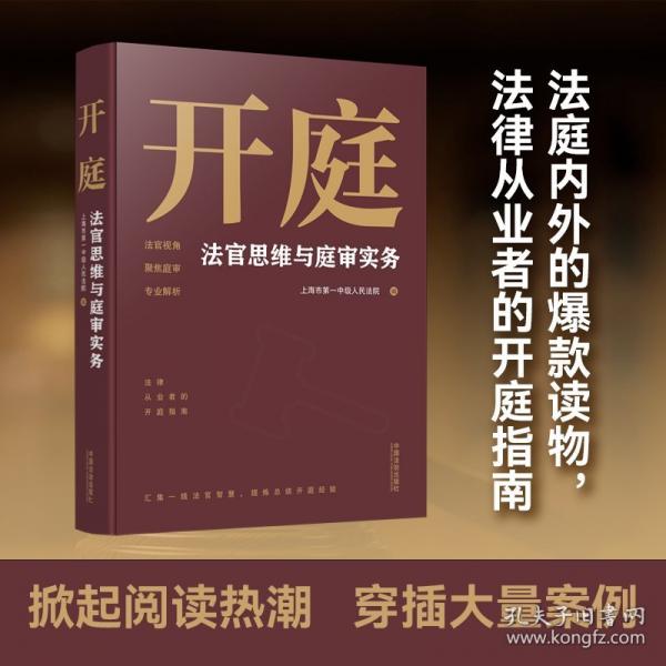 開庭：法官思維與庭審實務