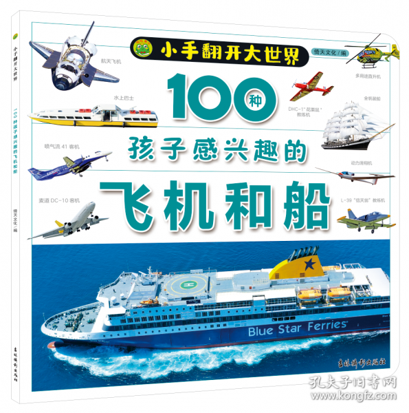 100種孩子感興趣的飛機(jī)和船