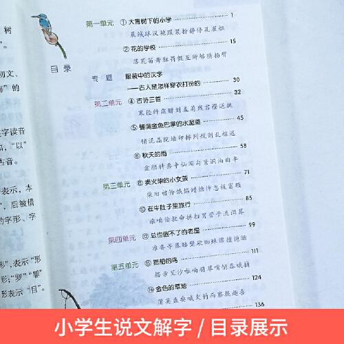 小学生说文解字三年级上册 统编语文教科书生字学习用书彩绘版