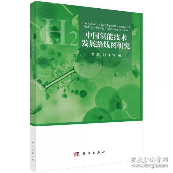 中國氫能技術發(fā)展路線圖研究