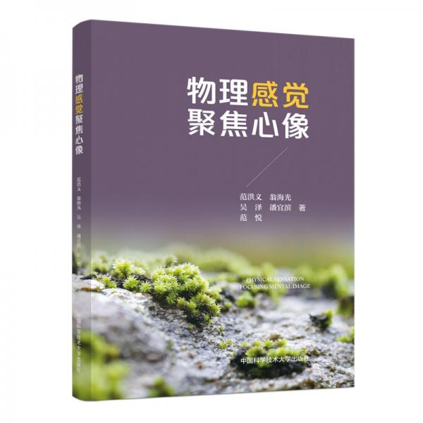 物理感覺聚焦心像 范洪義 等 著