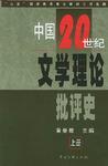 中国20世纪文学理论批评史（上下）