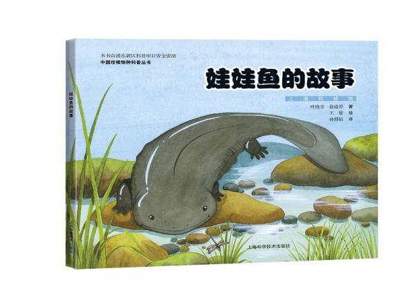 娃娃魚的故事
