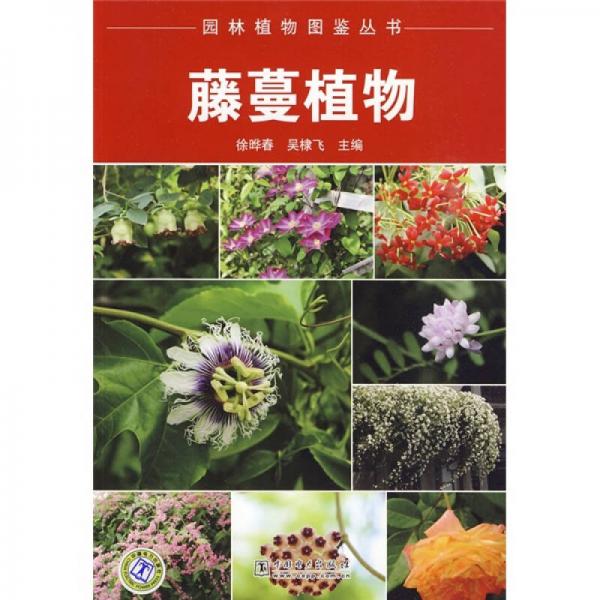 园林植物图鉴丛书：藤蔓植物