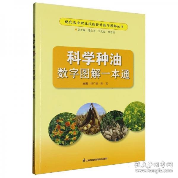 科学种油数字图解一本通