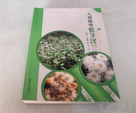入侵植物