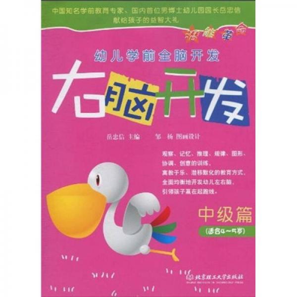 幼兒學(xué)前全腦開發(fā)：右腦開發(fā)（中級(jí)篇）（適合4-5歲）