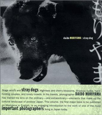 Daido Moriyama