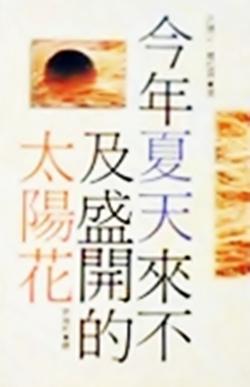 今年夏天來不及盛開的太陽花
