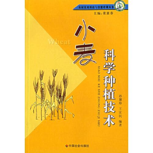 小麥科學種植技術