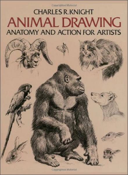 Animal Drawing(Dover Anatomy for Artists)