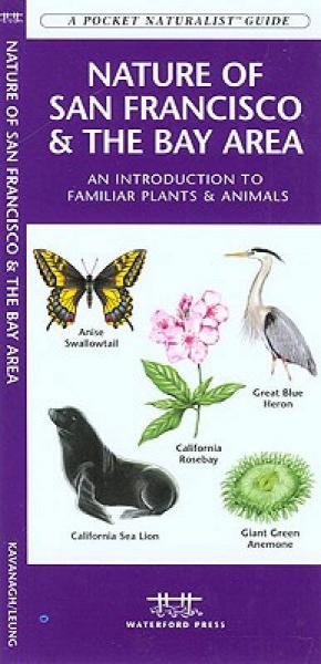 Nature of San Francisco & the Bay Area: An Introduction to Familiar Plants & Animals