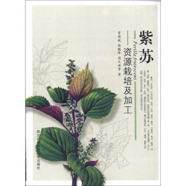紫蘇：資源栽培及加工