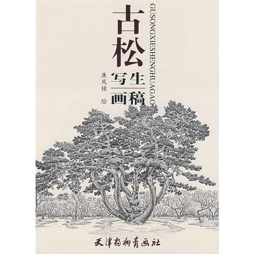 古松寫生畫稿
