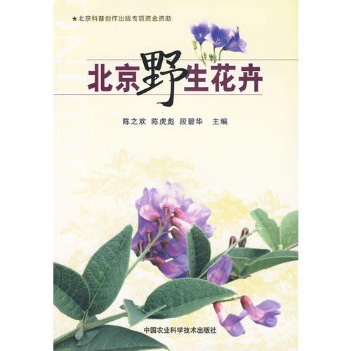 北京野生花卉