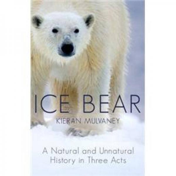 Ice Bear