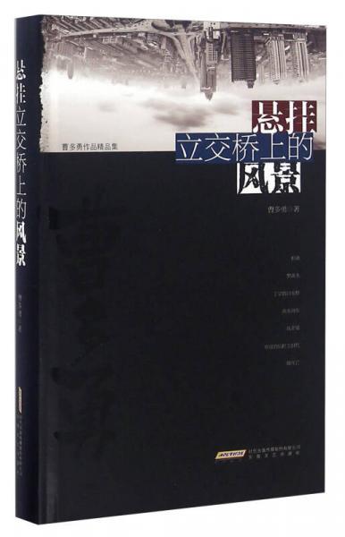 懸掛立交橋上的風(fēng)景