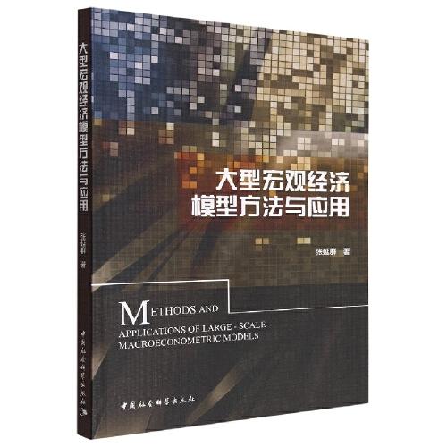 大型宏觀經(jīng)濟(jì)模型方法與應(yīng)用