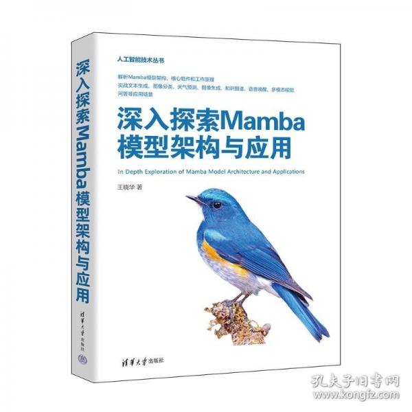 深入探索Mamba模型架构与应用