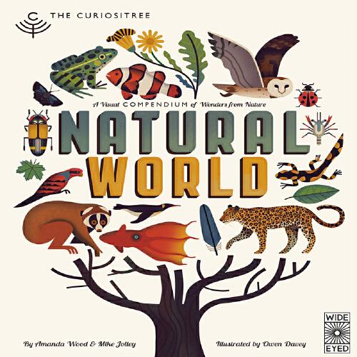 英文原版Curiositree: Natural World自然之美 奇妙的世界