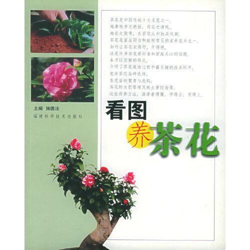 看圖養(yǎng)茶花