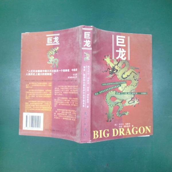 巨龍:商業(yè)、經(jīng)濟(jì)和全球秩序中的中國(guó)未來(lái)